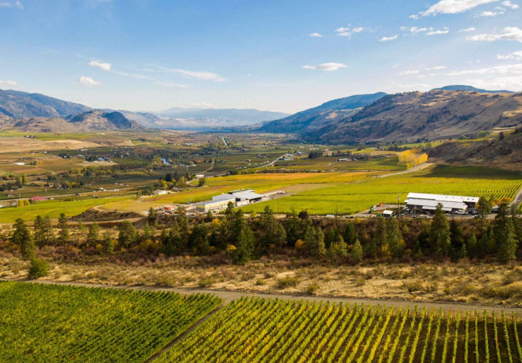 Aerial view of vineyards and the Okanagan valley around Oliver, BC